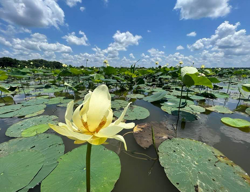 Lower Delta - Destinations
