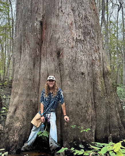 Huge Tree